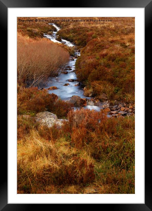 WATER IN BRACKEN Framed Mounted Print by andrew saxton