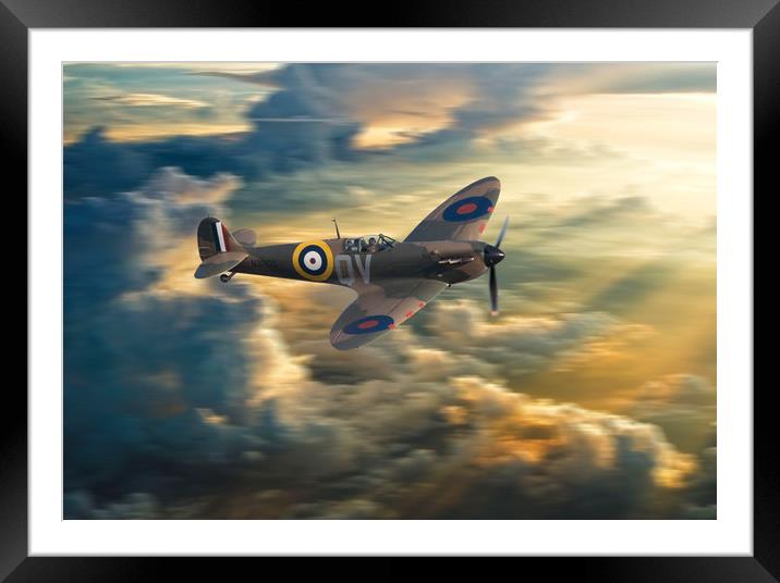 One of the few Framed Mounted Print by Stephen Ward