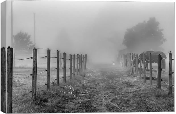 Foggy Morning Country Lane Canvas Print by Antony McAulay