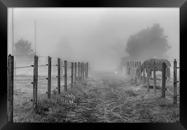 Foggy Morning Country Lane Framed Print by Antony McAulay
