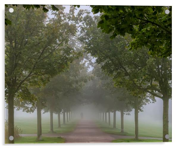 Foggy Morning Country Path Acrylic by Antony McAulay