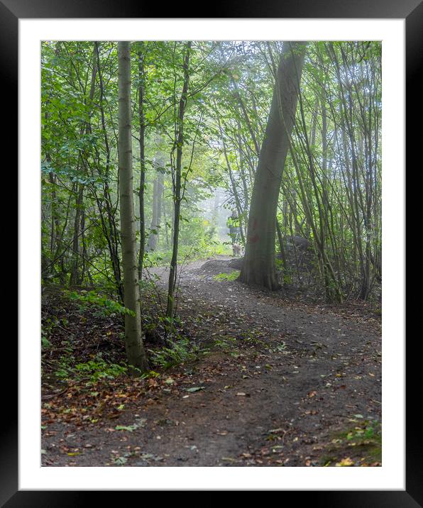 Foggy Morning Woodlands Winding Path Framed Mounted Print by Antony McAulay