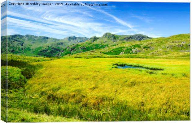 Langdale Pikes. Canvas Print by Ashley Cooper