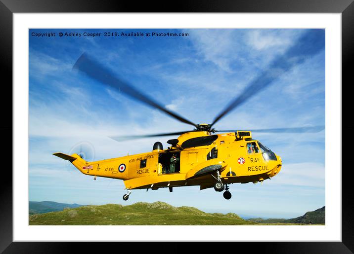 RAF helicopter landing. Framed Mounted Print by Ashley Cooper