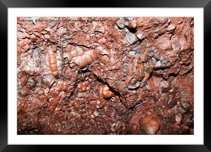 Kidney ore. Framed Mounted Print by Ashley Cooper