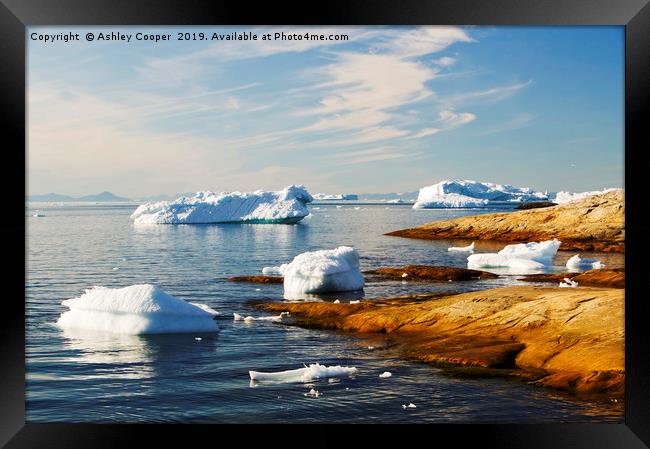 Greenland coast. Framed Print by Ashley Cooper