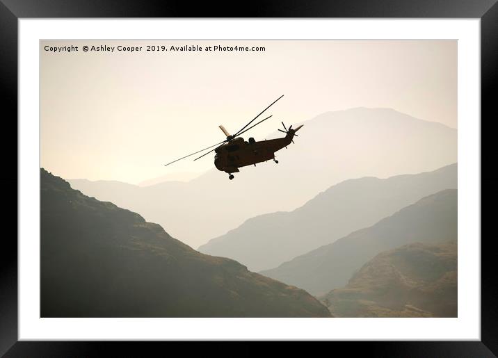 RAF sea king helicopter Framed Mounted Print by Ashley Cooper