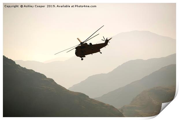 RAF sea king helicopter Print by Ashley Cooper