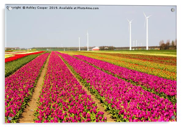 Tulip wind turbine. Acrylic by Ashley Cooper