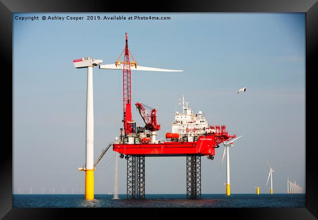 Walney offshore windfarm. Framed Print by Ashley Cooper