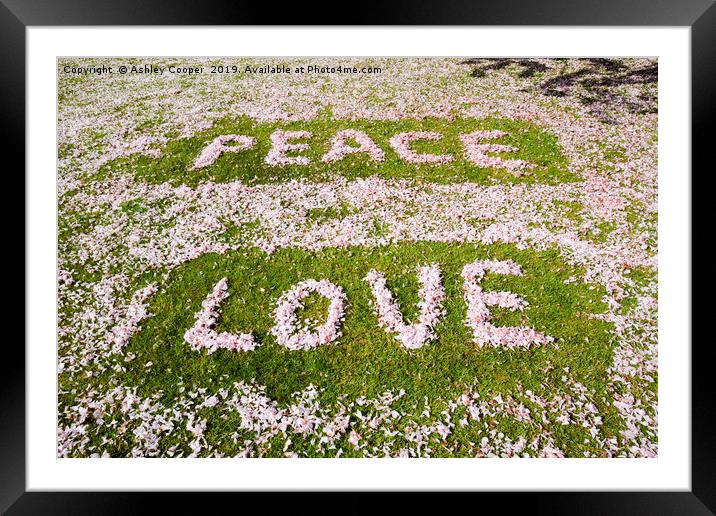 Peace love and petals. Framed Mounted Print by Ashley Cooper
