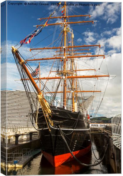 RSS Discovery Canvas Print by Ashley Cooper