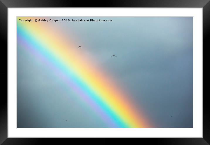 over the rainbow. Framed Mounted Print by Ashley Cooper
