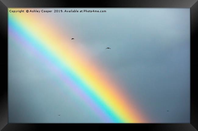 over the rainbow. Framed Print by Ashley Cooper