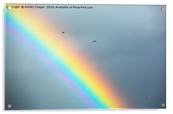 over the rainbow. Acrylic by Ashley Cooper