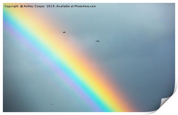 over the rainbow. Print by Ashley Cooper