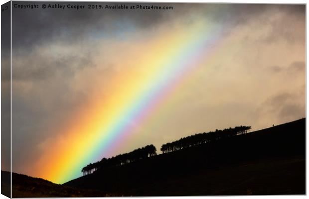 Woodland rainbow. Canvas Print by Ashley Cooper