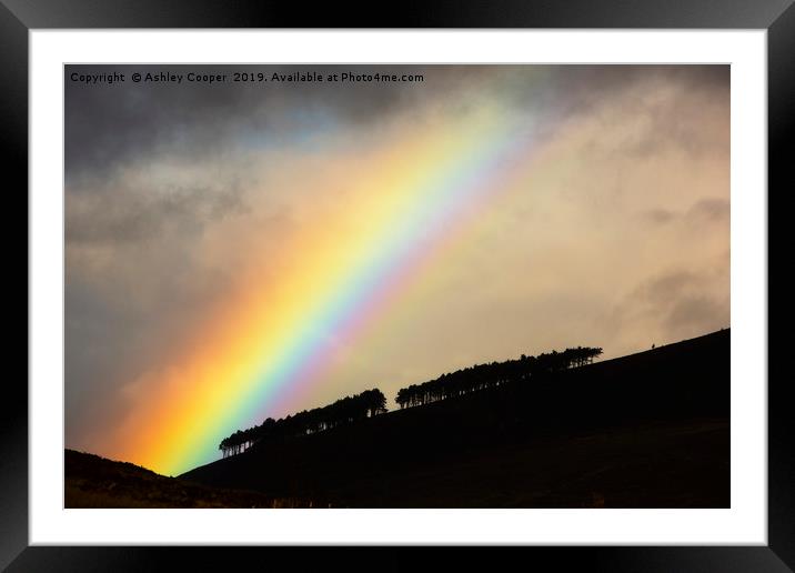 Woodland rainbow. Framed Mounted Print by Ashley Cooper