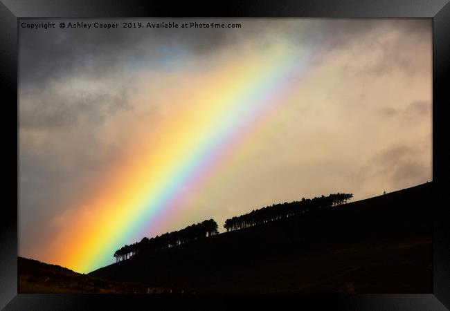 Woodland rainbow. Framed Print by Ashley Cooper