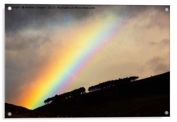 Woodland rainbow. Acrylic by Ashley Cooper