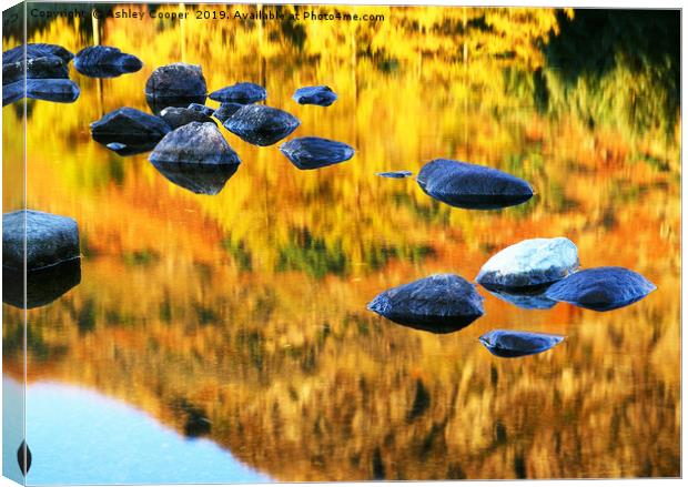 Blea Tarn reflections. Canvas Print by Ashley Cooper