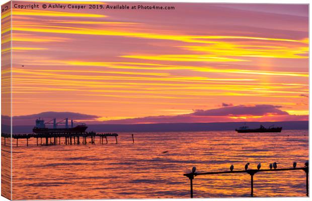 Punta Arenas. Canvas Print by Ashley Cooper
