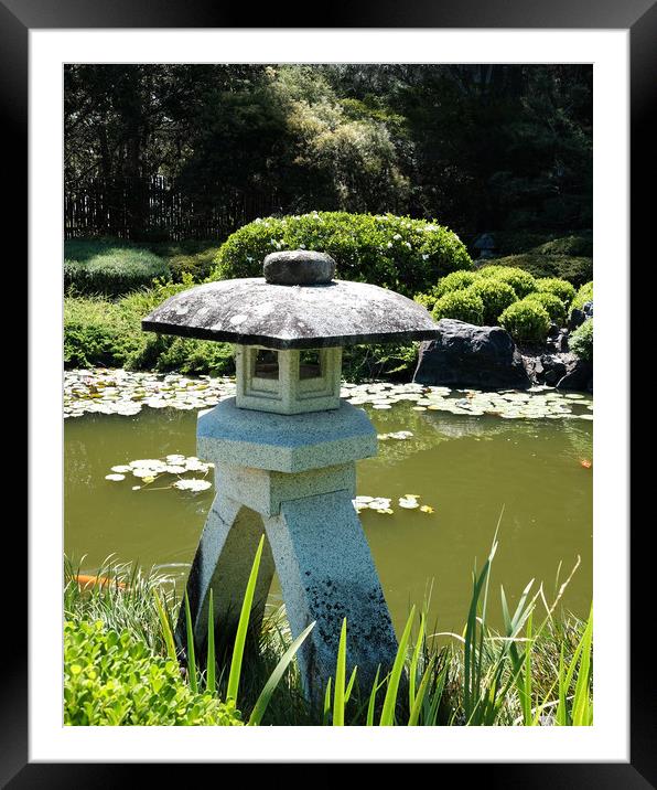 Japanese garden lake  Framed Mounted Print by David Worthington