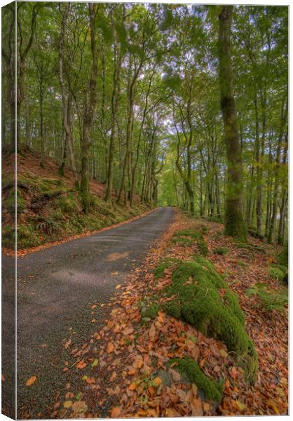  Autumn Road To Llyn Crafnant Canvas Print by Darren Wilkes