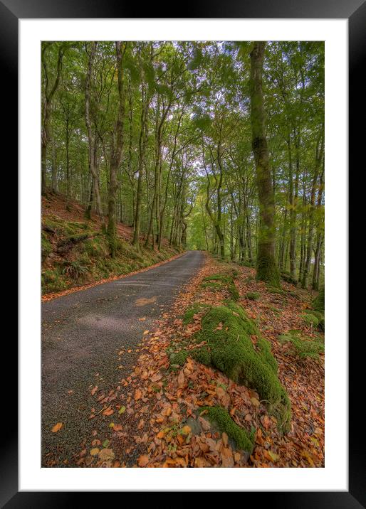 Autumn Road To Llyn Crafnant Framed Mounted Print by Darren Wilkes