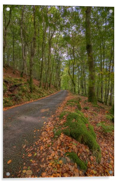  Autumn Road To Llyn Crafnant Acrylic by Darren Wilkes