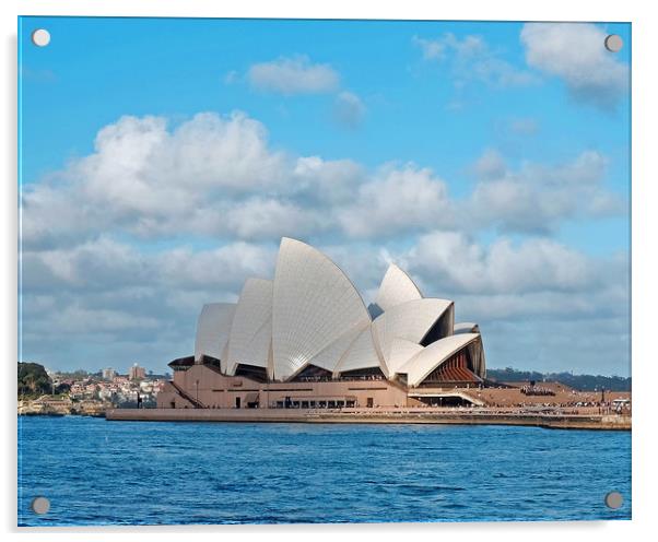 Sydney Opera House  Acrylic by David Worthington