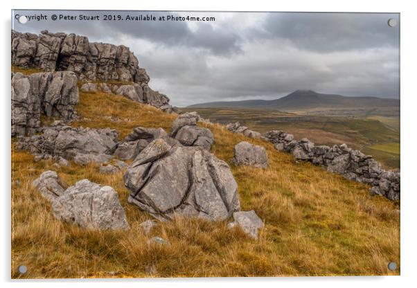 Ingleborough, North Yorkshire Acrylic by Peter Stuart