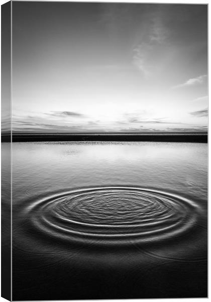 Tranquil Canvas Print by gary telford