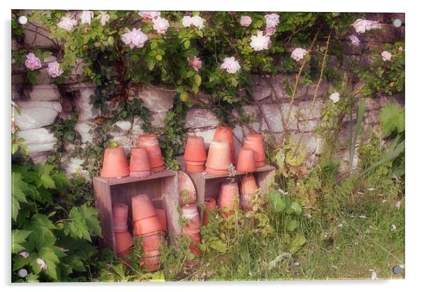 Old Terracotta Flower Pots Acrylic by Nicola Clark