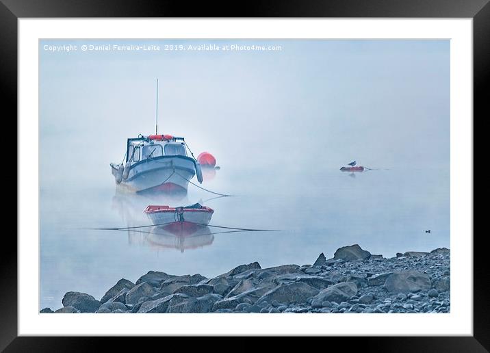 Small Boat Parked at Lake, Puyuhuapi, Chile Framed Mounted Print by Daniel Ferreira-Leite