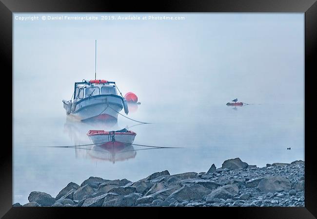 Small Boat Parked at Lake, Puyuhuapi, Chile Framed Print by Daniel Ferreira-Leite