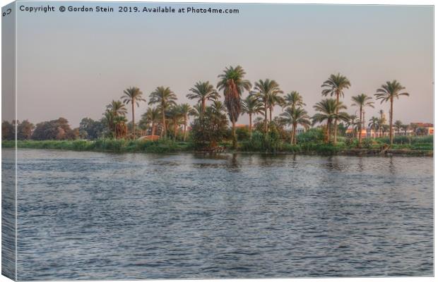 Life On The Nile Canvas Print by Gordon Stein