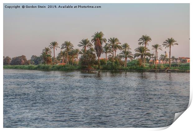 Life On The Nile Print by Gordon Stein