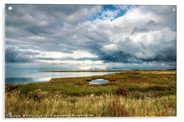 Marsh View to Stiffkey, Norfolk Acrylic by Sally Lloyd