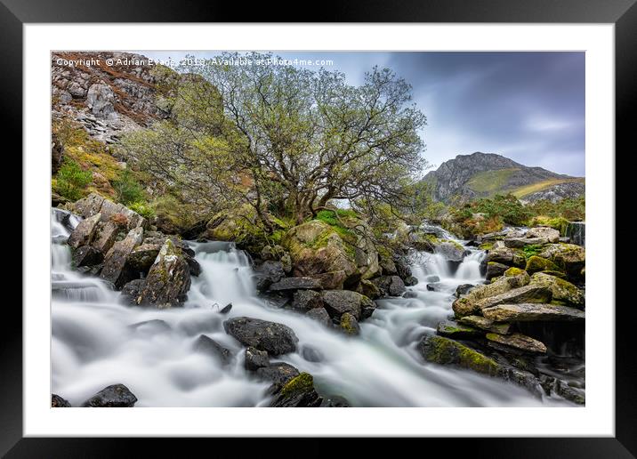Autumn Mountain Rapids Snowdonia Framed Mounted Print by Adrian Evans