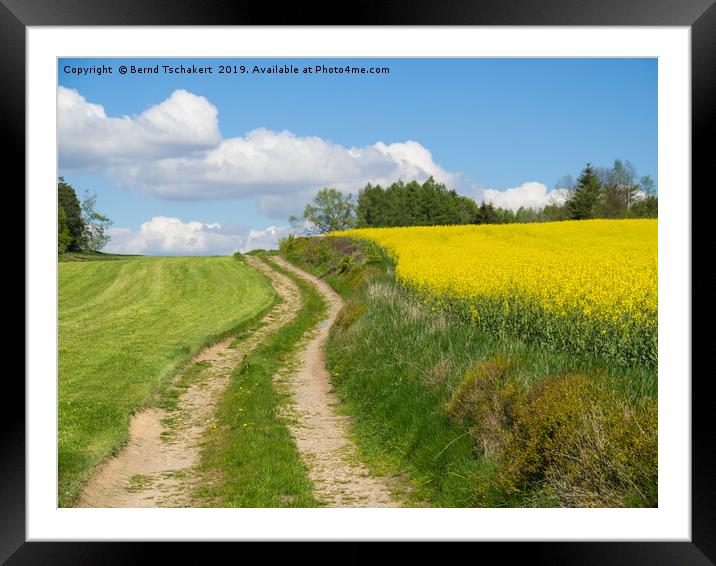 Farm track, oilseed rape field, Austria Framed Mounted Print by Bernd Tschakert