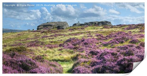 Ilkley Moor Heather Print by Diana Mower