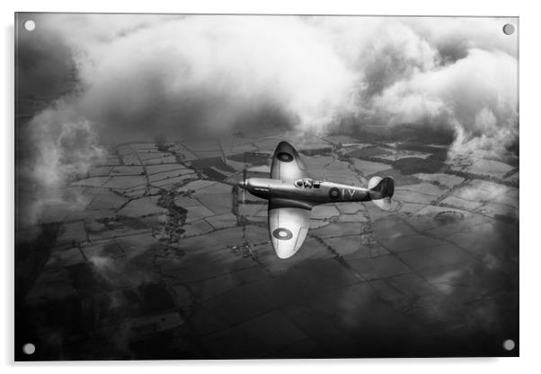 Photo reconnaissance Spitfire B&W version Acrylic by Gary Eason