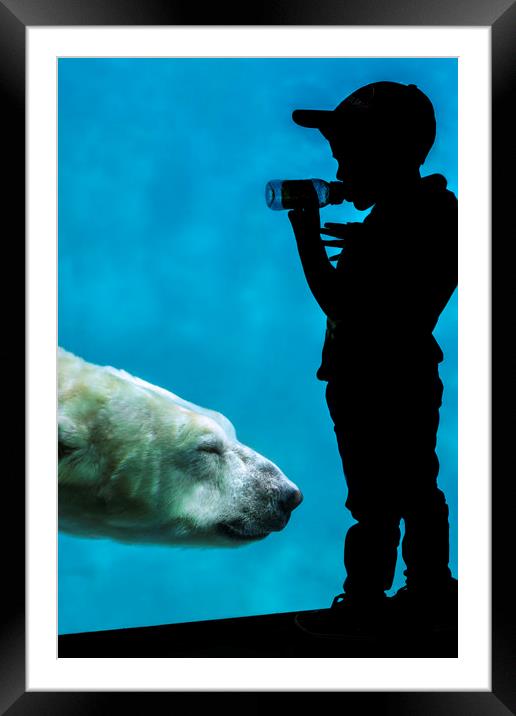 Little Boy Watching Polar Bear Framed Mounted Print by Arterra 