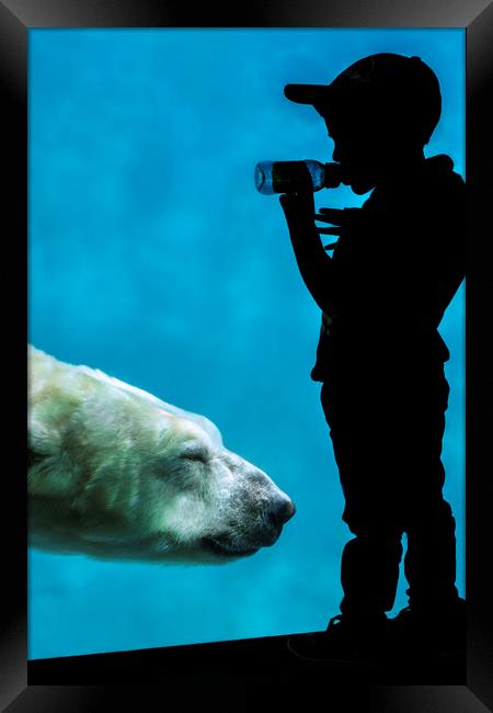 Little Boy Watching Polar Bear Framed Print by Arterra 