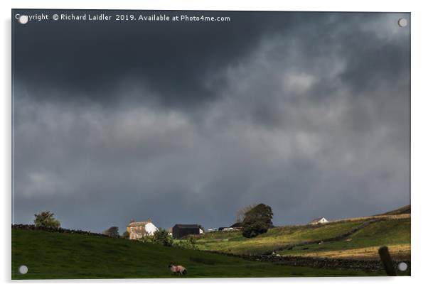 Sunlit Farm, Stormy Sky 1 Acrylic by Richard Laidler