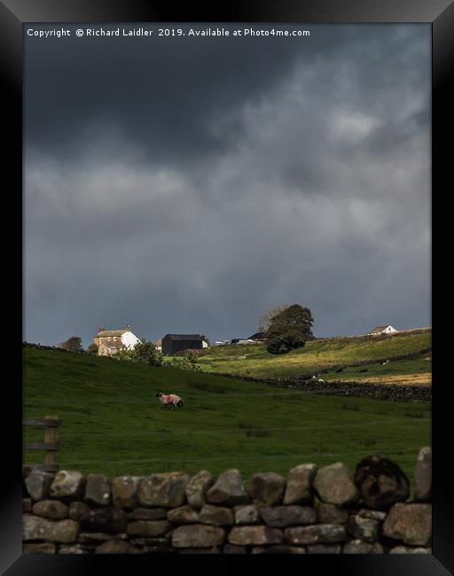 Sunlit Farm, Stormy Sky 2 Framed Print by Richard Laidler