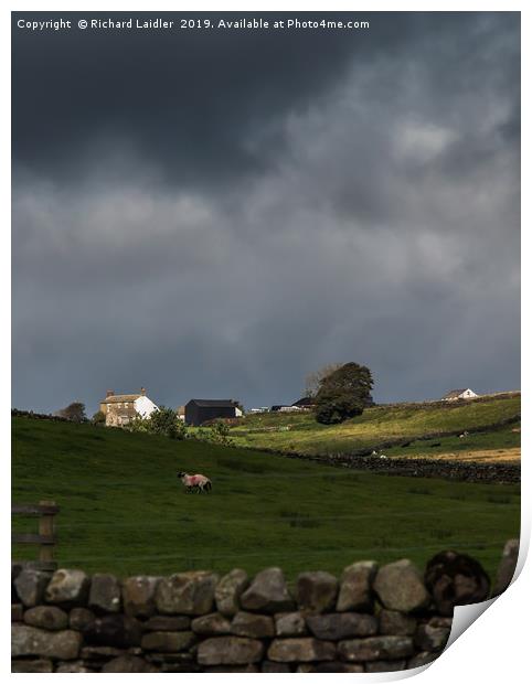 Sunlit Farm, Stormy Sky 2 Print by Richard Laidler