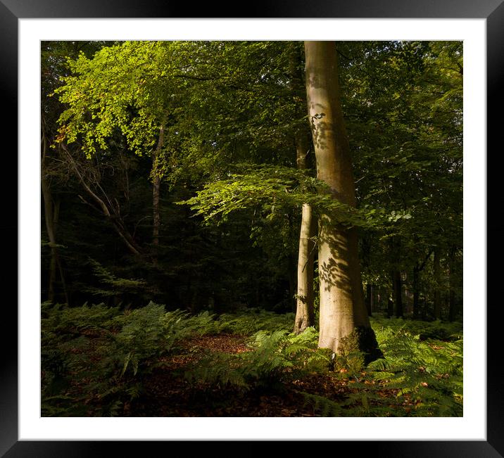 Layers of Light Framed Mounted Print by Simon Wrigglesworth