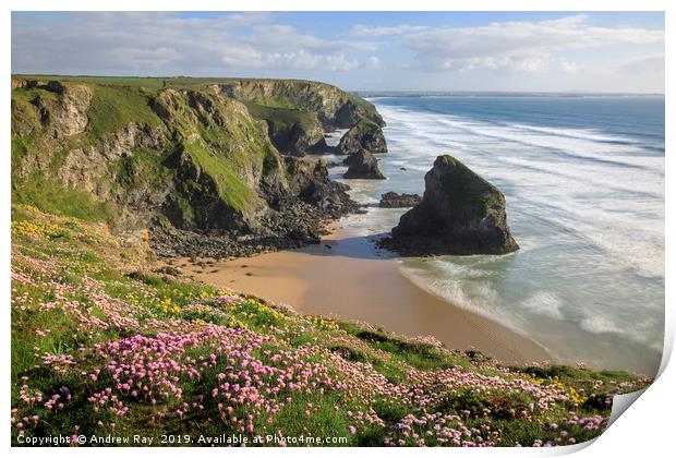 Spring flora (Bedruthan Steps) Print by Andrew Ray